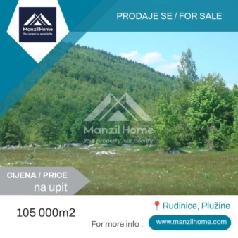 Plac, 105000m2, Plužine, Prodaja