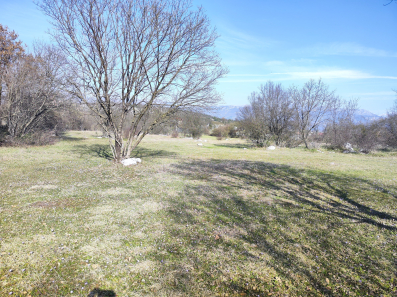 Zemljište, 16272m2, Daljam, Prodaja