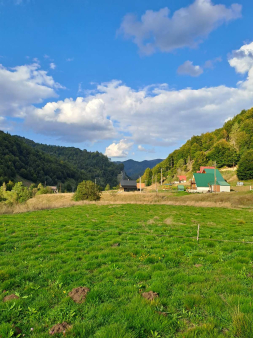 Plac, Verusa, Prodaja