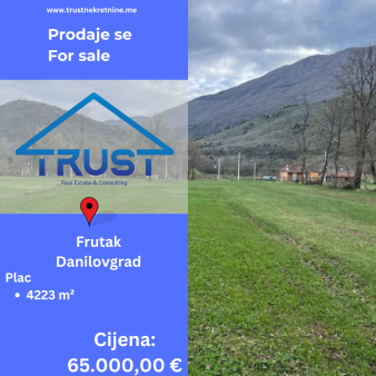 Plac, 4223 m2, Frutak, Danilovgrad, Prodaja 