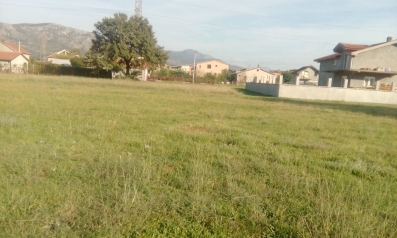 Plac 2000m2,Rogame