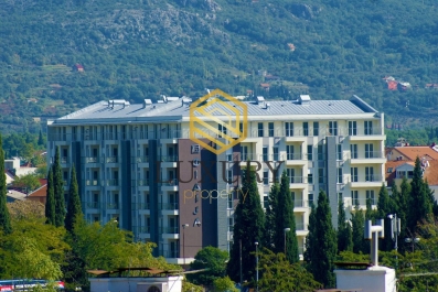 Izdavanje Podgorica, Zagoric, stan