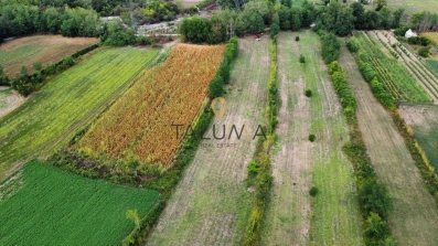 Prodaje se poljoprivredno zemljište 2.200m2, Zeta | ID: ML 294
