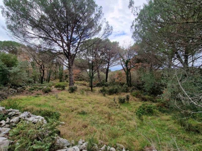 Plac povrsine 1150m2 ,Zagora-Opstina Kotor.