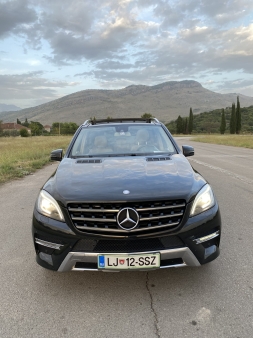 Mercedes Benz ML 250