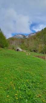 Plac 1450m2, Crkvine, Kolasin, Prodaja