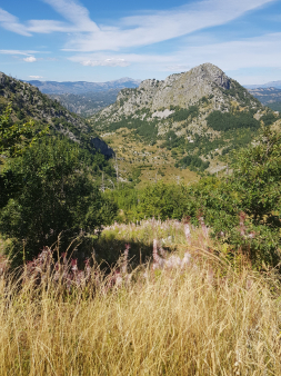 Zemljiste 725000m2, Kuči, Podgorica, Prodaja