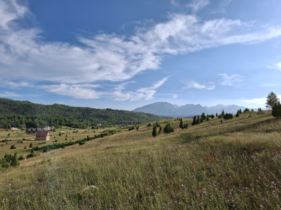 Placevi 455m2, Borje, Zabljak, Prodaja