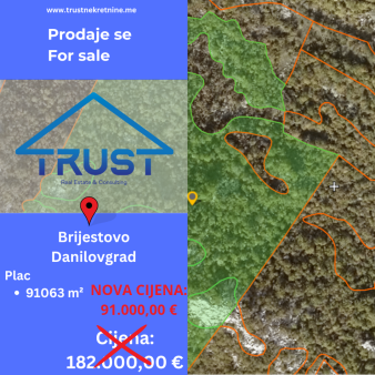 Plac, 91063 m2, Brijestovo, Danilovgrad, Prodaja