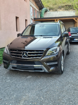 Mercedes Benz ML 250