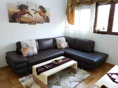 Jednosoban stan 40m2, Centar, Cetinje, Izdavanje