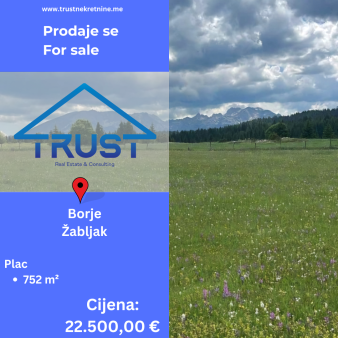 Plac, 752 m2, Borje, Žabljak, Prodaja