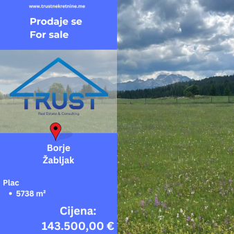 Plac, 5738 m2, Borje, Žabljak, Prodaja