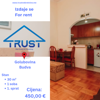 Jednosoban  stan, 30 m2, Golubovina, Budva, Izdavanje