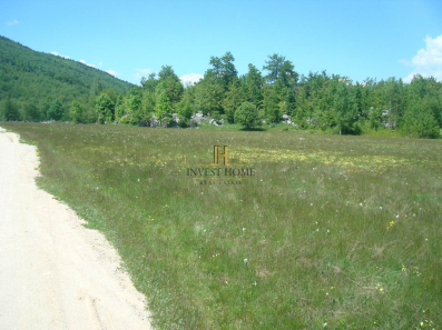 Plac, 105000m2, Plužine, Prodaja