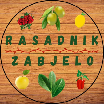 Rasadnik Zabjelo - Zive ograde, ukrasno bilje, rasad povrca I jagoda