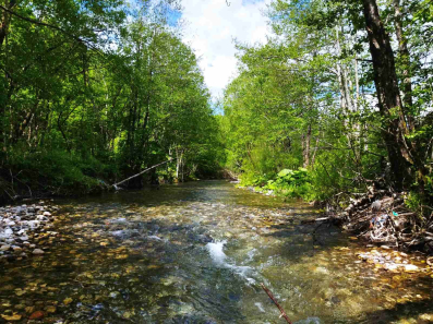 Plac 9800m2, Donje Lipovo, Kolašin, Prodaja 