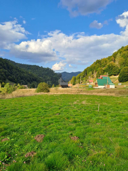 Plac, 10000m2, Verusa, Prodaja