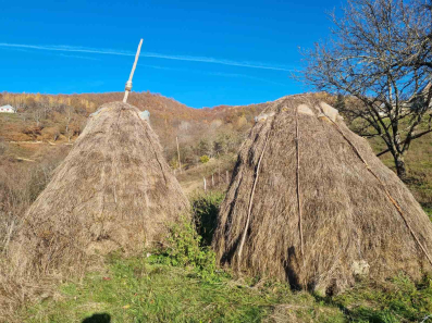 Sijeno - prodaja