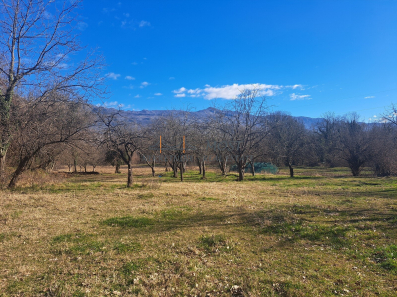 Imanje sa kućom, Gorica, Danilovgrad, Prodaja