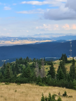 Zemljiste, 40000m2, Bosace, Zabljak, Prodaja